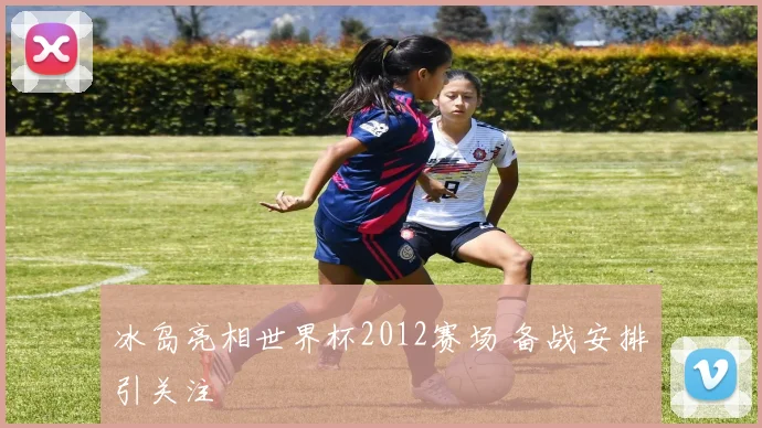 冰岛亮相世界杯2012赛场 备战安排引关注