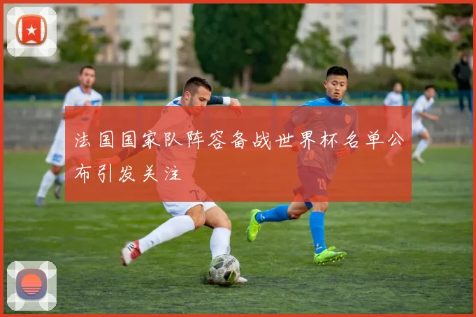 法国国家队阵容备战世界杯名单公布引发关注