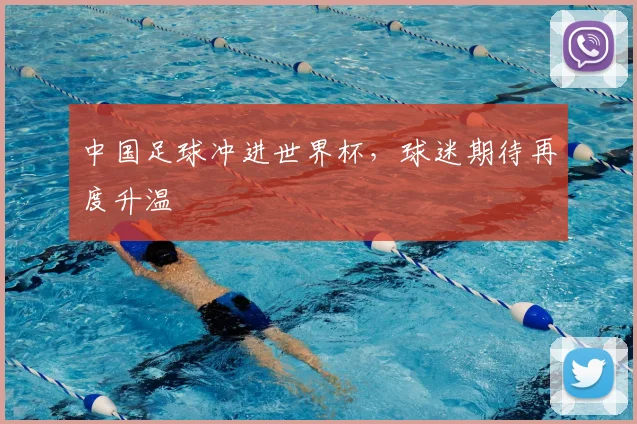 中国足球冲进世界杯，球迷期待再度升温