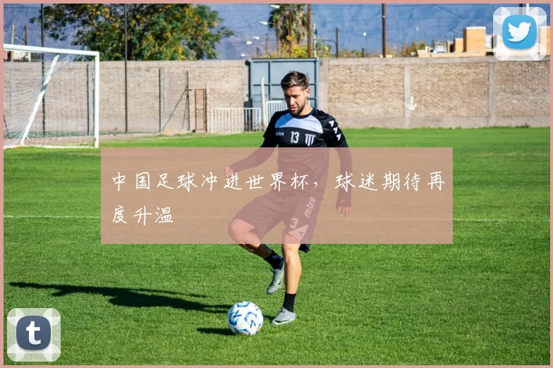 中国足球冲进世界杯，球迷期待再度升温