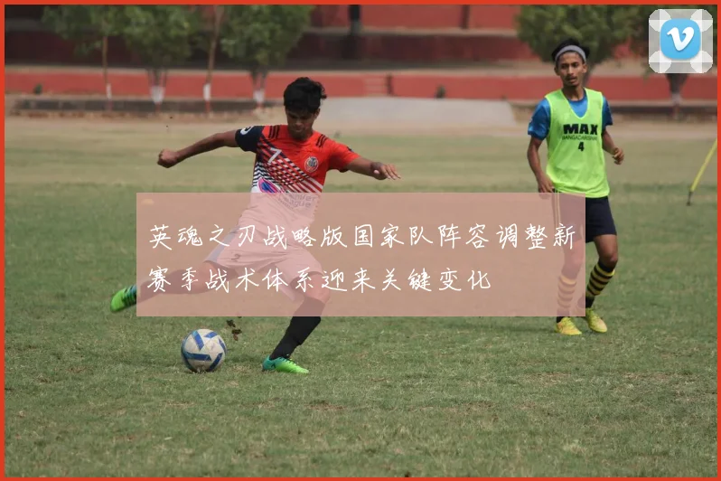 英魂之刃战略版国家队阵容调整新赛季战术体系迎来关键变化