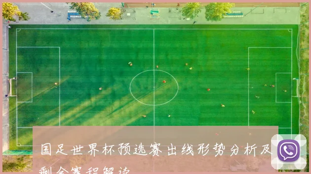国足世界杯预选赛出线形势分析及剩余赛程解读