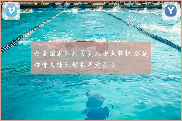 丹麦国家队外号英文由来解析 球迷称呼与球队形象再受关注